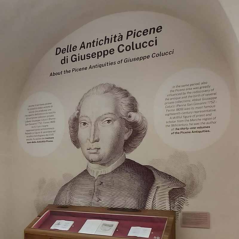 Museo archeologico di Fermo, nicchie espositive